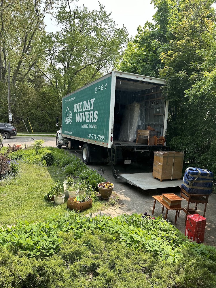 One Day Movers