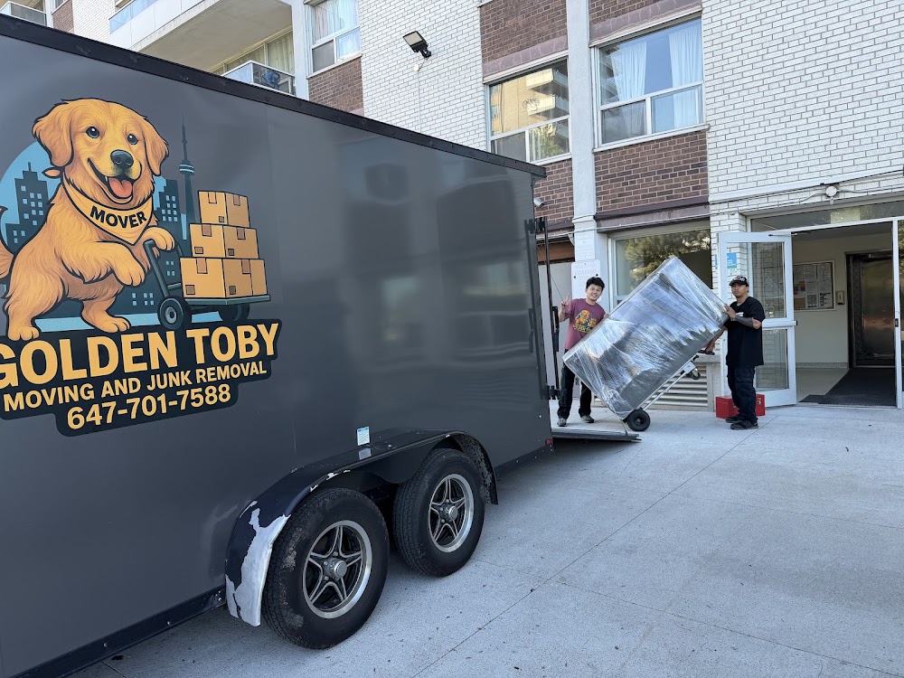 Golden Toby Moving